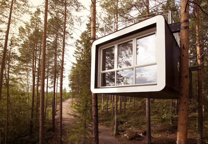 modern black and white cube-shaped structure, with several windows, suspended over the ground from several trees, cool tree houses, inside a fir forest