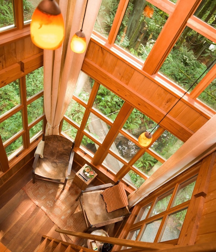 interior of a tree house, wood paneling on the walls, several large windows, high ceiling with three hanging lights, treehouse ideas