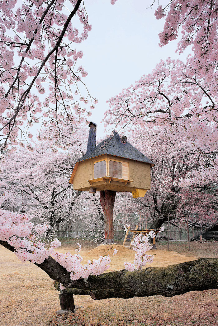 japanese aesthetic inspired adult treehouse, built on a tall stump, in the middle of a sakura cherry tree garden