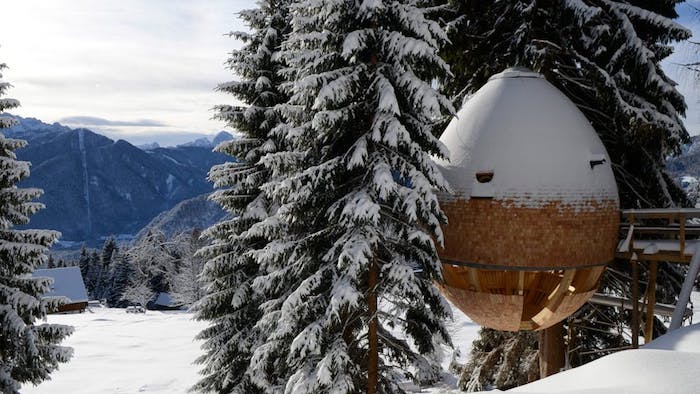 snow-covered mountains, egg-shaped structure, nestled between large fir trees, modern capsule-like treehouse