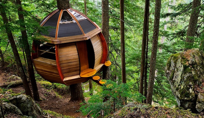 semi-round structure, made from wood and glass, inside a forest, with firs and ferns, cool tree houses, round wooden steps