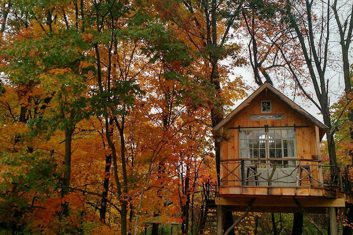 autumn trees with yellow, orange and green leaves, near a wooden backyard treehouse, with a small terrace, accessible through a set of stairs