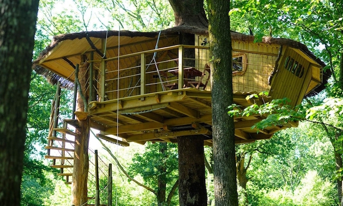saucer-shaped tree house, made from yellow colored wooden material, and supported by several trees, accessible through stairs