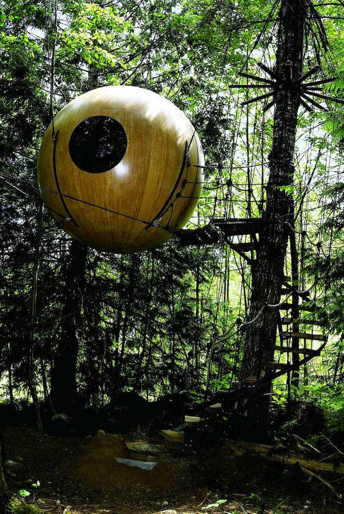 backyard treehouse, circular wooden structure, with round window, suspended above the ground, on several tall trees, thick green forest