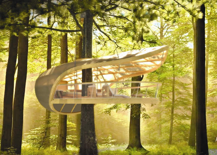 bright sunny green forest, with a white modern structure, built around one of the trees, cool tree houses, open air forest shelter