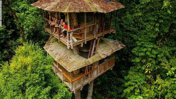 people leaning on the railing of a wooden terrace, attached to a two story tree house, made of wood, and built in the middle of a green forest