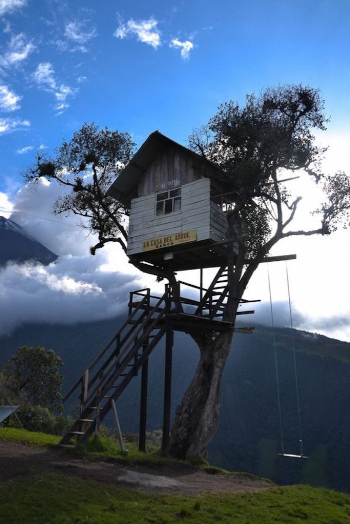 swing hanging from the branches of a tall tree, with a small wooden treehouse, with a ladder, clouds and a mountain view