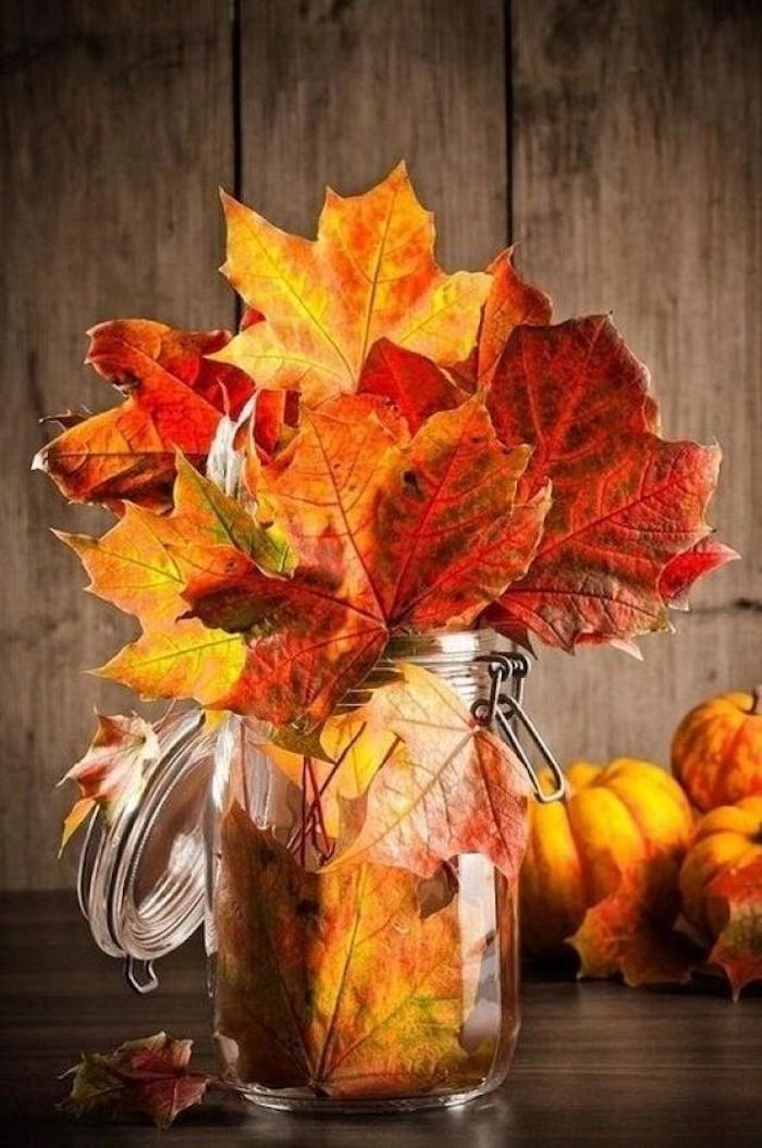  beautiful thanksgiving pictures, a clear jar, containing red, yellow, green and orange leaves, on a wooden table, with autumn leaves, pumpkins and brown planks in the background