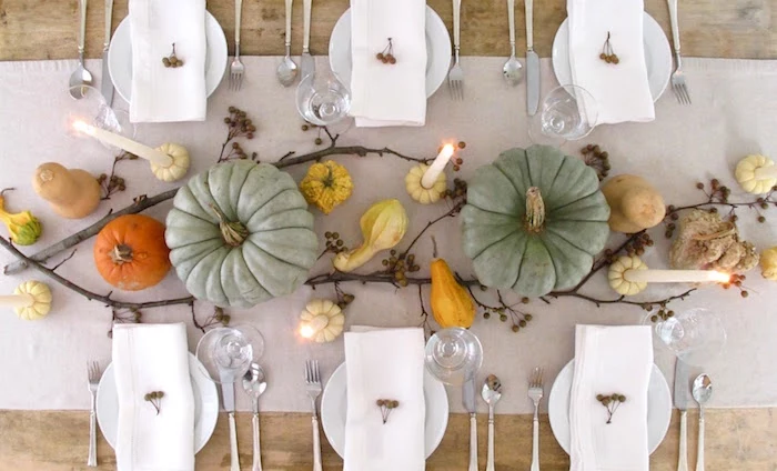 beautiful thanksgiving pictures, white tablecloth on light wooden table, six white plates with white napkins and little berry ornaments, silver cutlery, clear whine glasses, three lit tall candles inside little pumpkins, two large light blue pumpkins, small pumpkins, gourds, two decorative tree branches