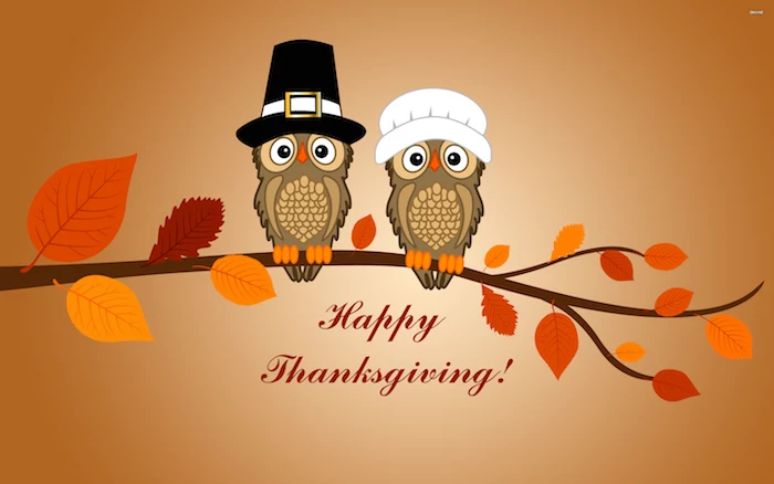 funny happy thanksgiving pictures, digital drawing, two cartoon owls in funny pilgrim hats, on a brown branch with red, yellow and brown leaves, happy thanksgiving is written in brown underneath