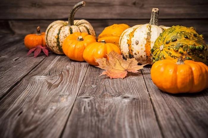 pumpkins of different shapes, colors and sizes, on a wooden floor, with two autumn leaves in red and orange, brown background