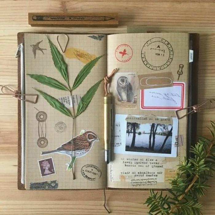 scrapbook page ideas, light brown squared paper in a journal, green leaves, photos, images of birds, stamps, a pencil