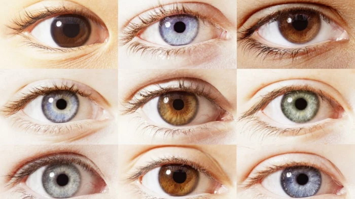 hazel eyes, nine diffeerntly colored eyes, different shades of brown, blue and green