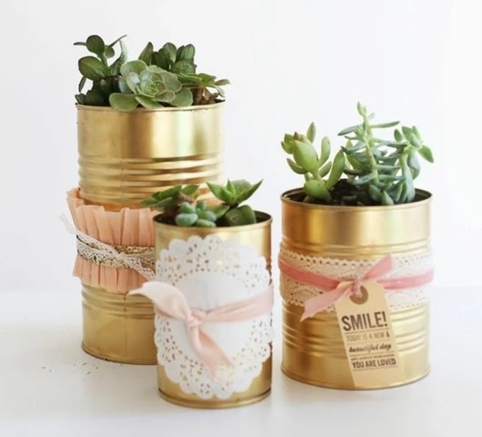 tin cans, three tin cans in different sizes, painted in gold paint and decorated with paper doilies, lace and pink ribbons, containing different succulents