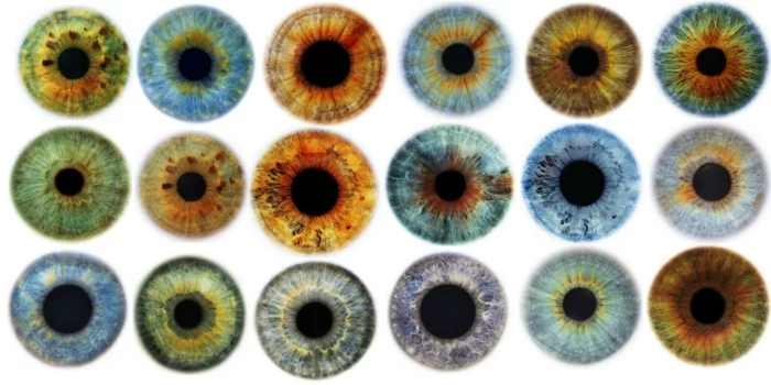 eye color chart, image containing photos of eighteen irises, each in a different color, with various shades