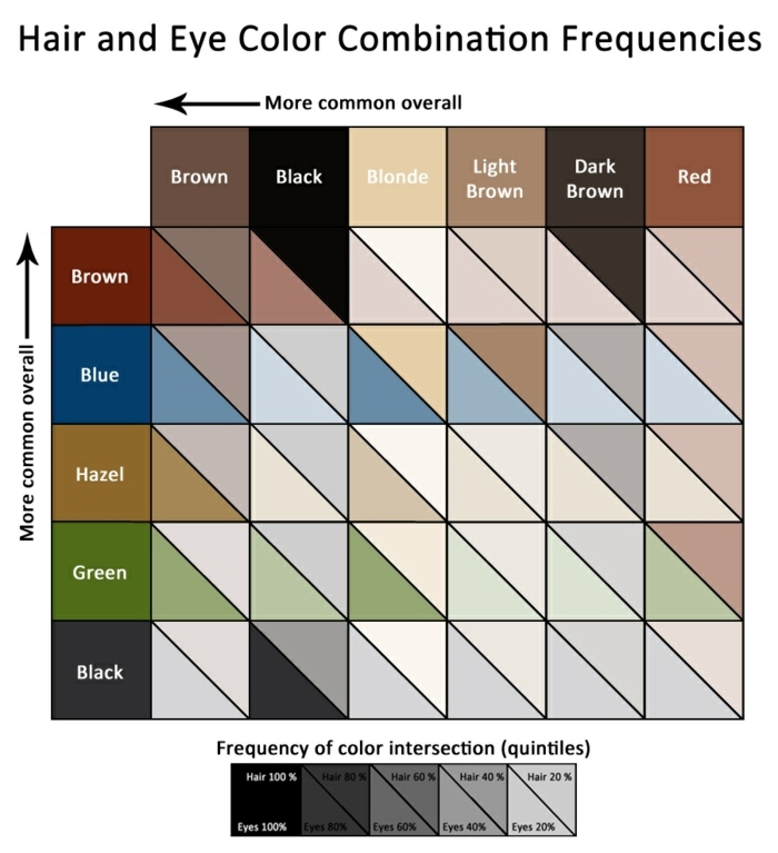 eye color chart, table showing hair and eye combination frequencies, from more likely on top, to less likely on bottom