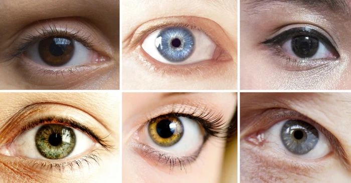 hazel eyes, six eyes in different colors, dark brown and black, light blue and green, light brown and grey