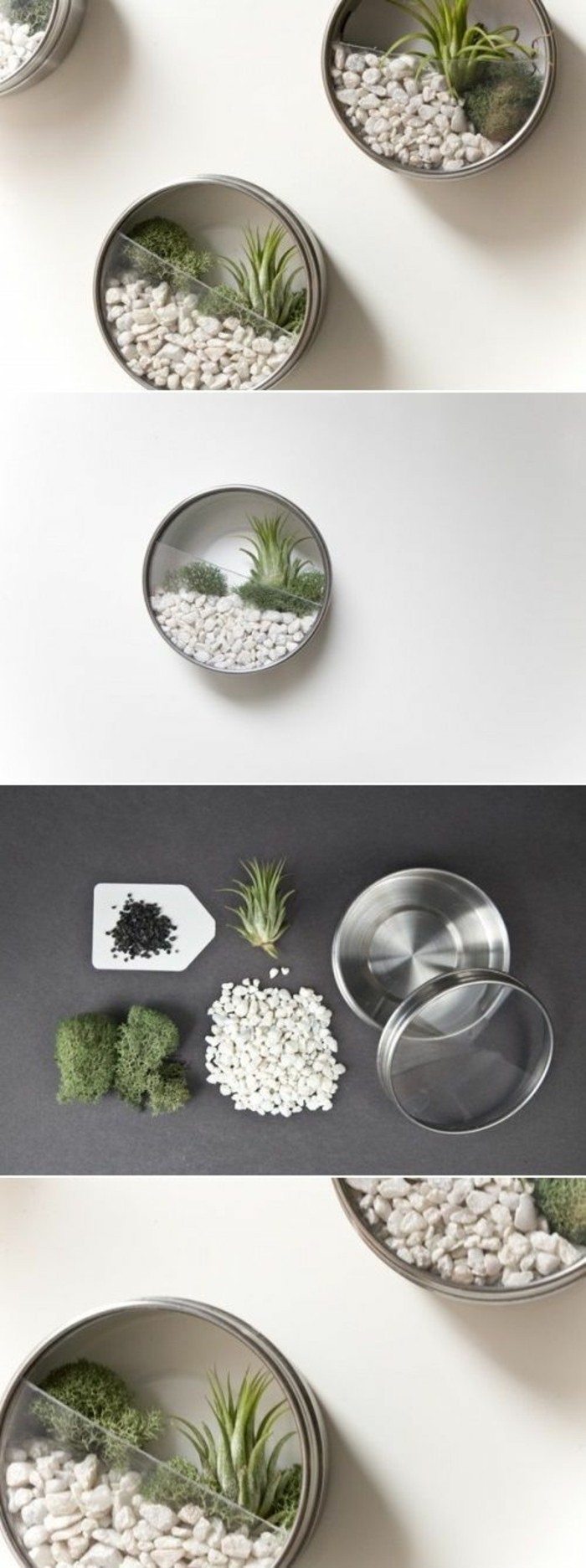 tin cans for crafts, three small round terrariums, with stones and tiny plants, photo shows materials used, small white pebbles, moss and little plant, metal tin with clear lid