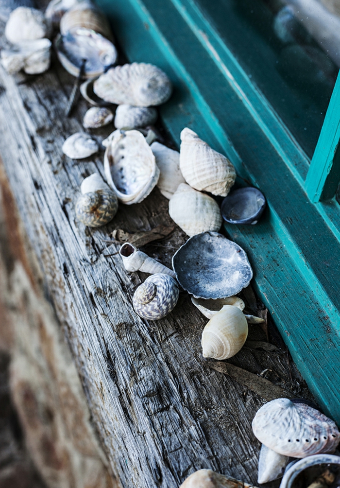 summer diys, many seashells in different colors, shapes and sizes, strewn on rough wooden windowsill, near turquoise window pane