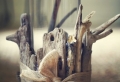 Window Decorations – Ingenious Crafting Ideas for Your Home
