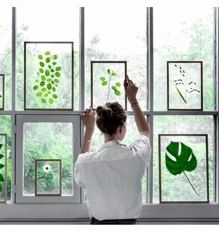 summer crafts for adults, woman wearing a white shirt with polka dot pattern, with brown hair in a bun, putting a pressed green plant, framed in glass, on a windowpane, near more similar framed plants