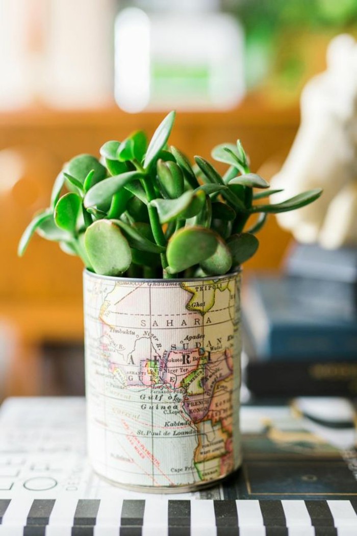 metal tin containers, can decorated with map paper, containing a green succulent plant