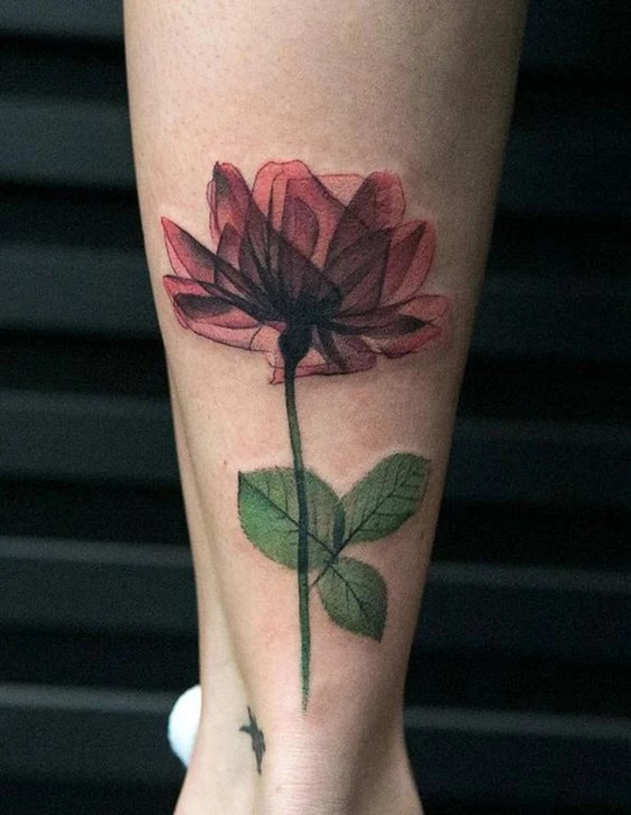flower tattoo designs, tattoo of a rose on a stalk, with red see-through petals and leaves, on someone's lower leg