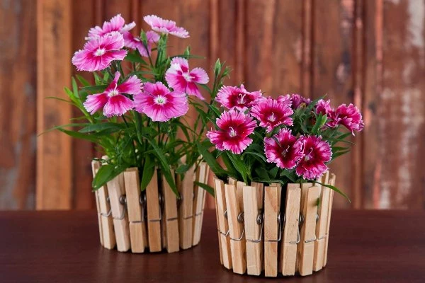 plant pots, decorated with wooden clothes pegs, and containing pink and purple planted flowers