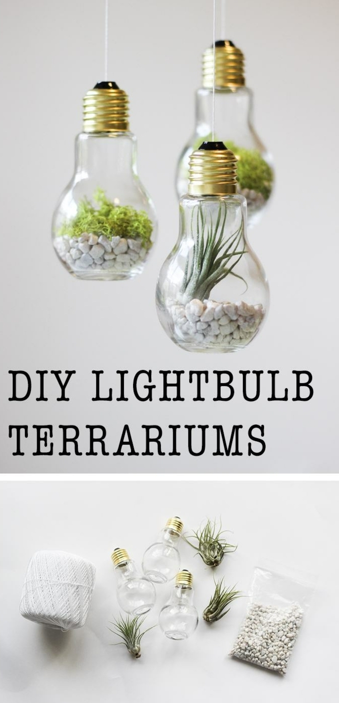 three lighbulbs hanging on white thread, filled with small white pebbles, moss and a succulent, art and craft ideas, second image shows needed materials