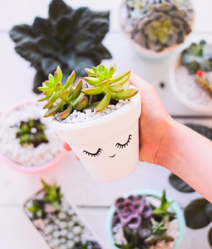 hand holding a small white flowerpot, with a painted cartoon face, containing small white pebbles and succulents, homemade crafts, more pots in background