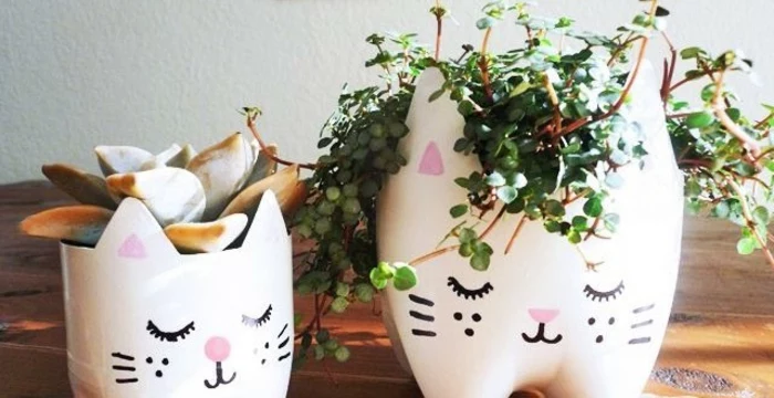 big and small white flower pots, with hand-painted cat faces, fun and easy crafts, each containing a different plant