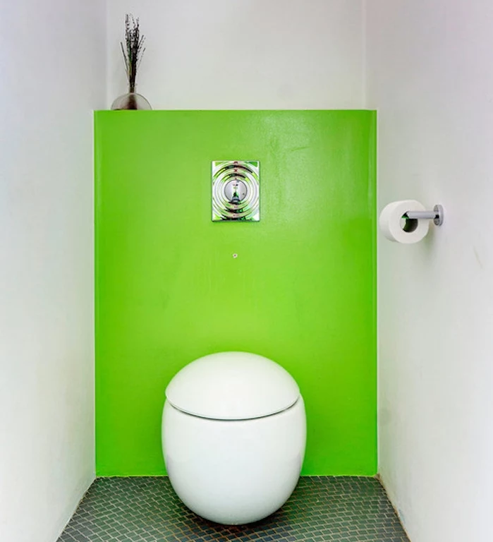 bathroom remodel, toilet with white and acid green walls, unusual oval toilet seat, dark green mosaic floor, decorative dried plant in clear vase