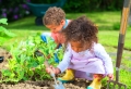 Create an Oasis of Tranquility in Your Garden