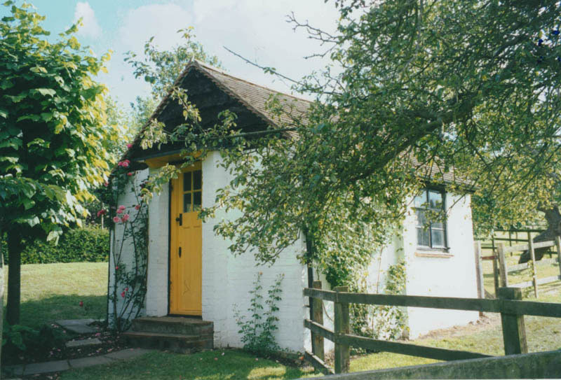 small white shed, with yellow door, with blossoming rose bush, and wooden fence, surrounded by trees with green leaves