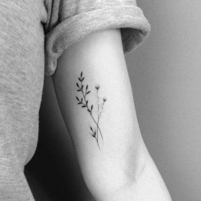 black and white image, of an arm with rolled up sleeve, with a tattoo of two thin crossed plants