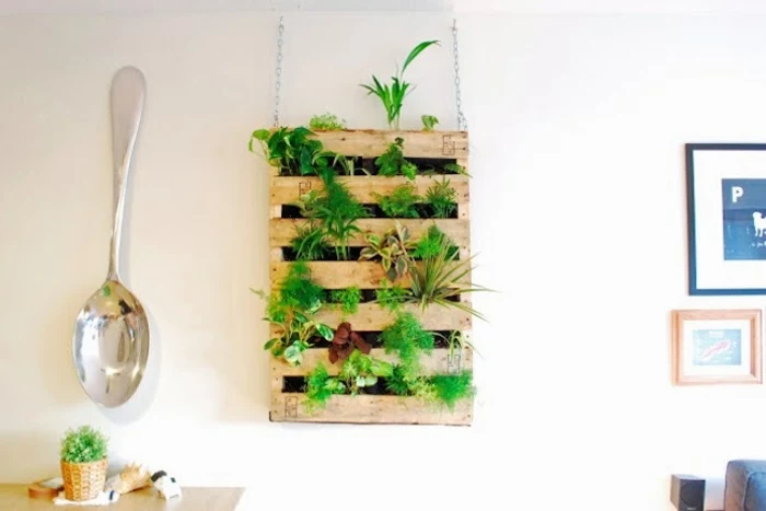 wooden rack hanging from white wall, contaning many different kinds of green potted plants, easy arts and crafts, large silver spoon decoration nearby