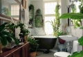 Revitalize Your Home with Lush Indoor Plants in Every Room