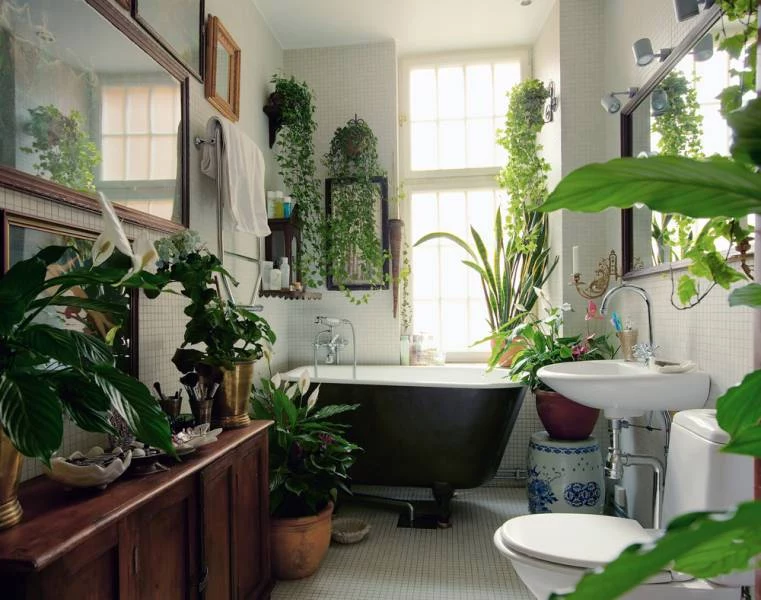 many different green indoor plants, inside bathroom with wooden furniture, white mosaic floor, white toilet and sink, black and white bathtub, framed images on walls
