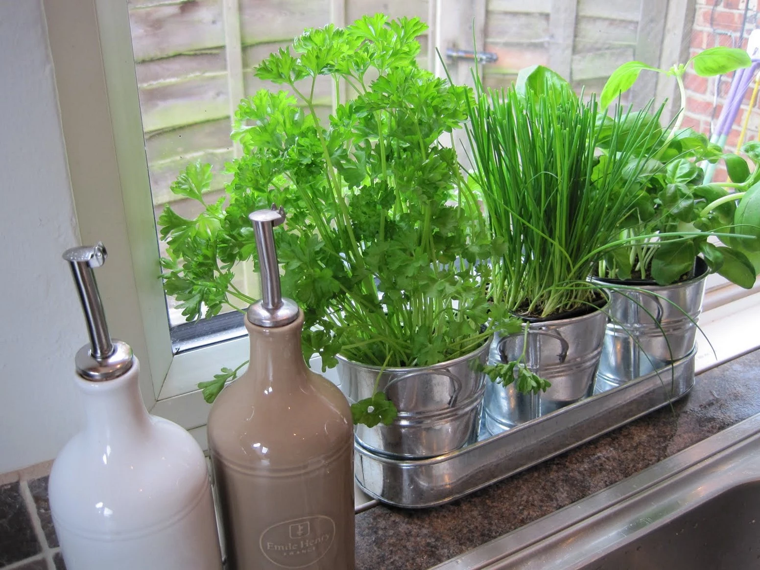 three metal pots, containing green herbs, parsley and chives and basil, in a metal tray, placed on a windowsill