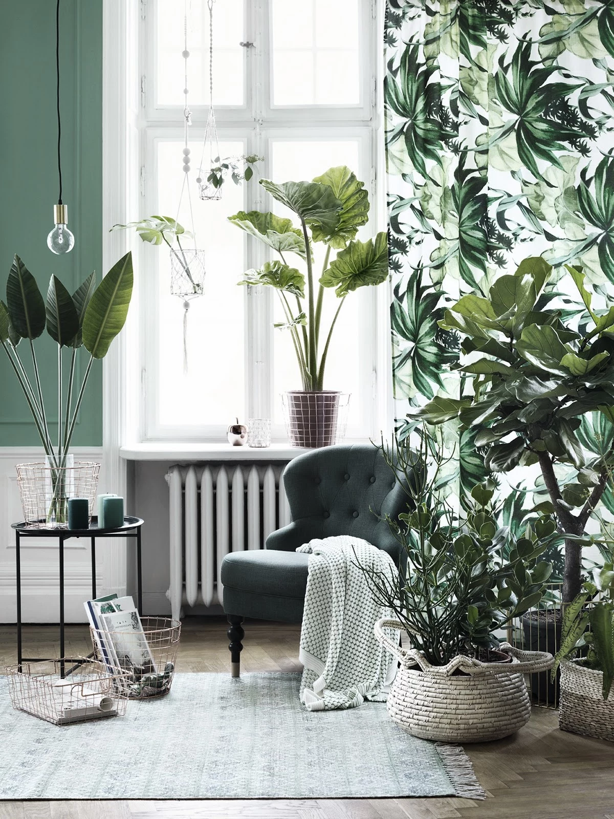 living room with cold pastel green wall, and white paneling, large window with white and green curtain, with botanical print, several different indoor plants, dark green cozy chair and small metal table