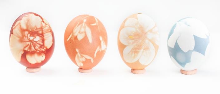 gentle flower prints in pale cream, on easter eggs dyed in light blue, orange and red, on a white background