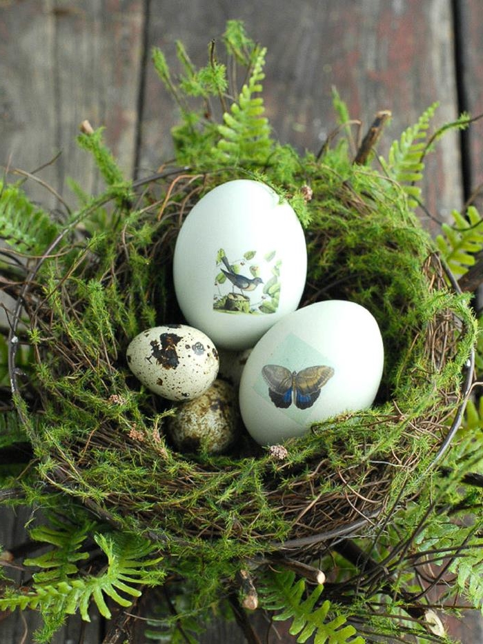 ferns and moss, decorating a nest made of twigs and straw, containing two hen's eggs, decorated with stickers of a butterfly and a bird, and several plain quail's eggs