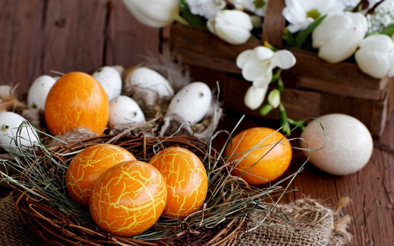 little nest made of twigs and straw, containing orange dyed eggs, with a yellow cracked effect, easter egg coloring, plain eggs and white tulips in background