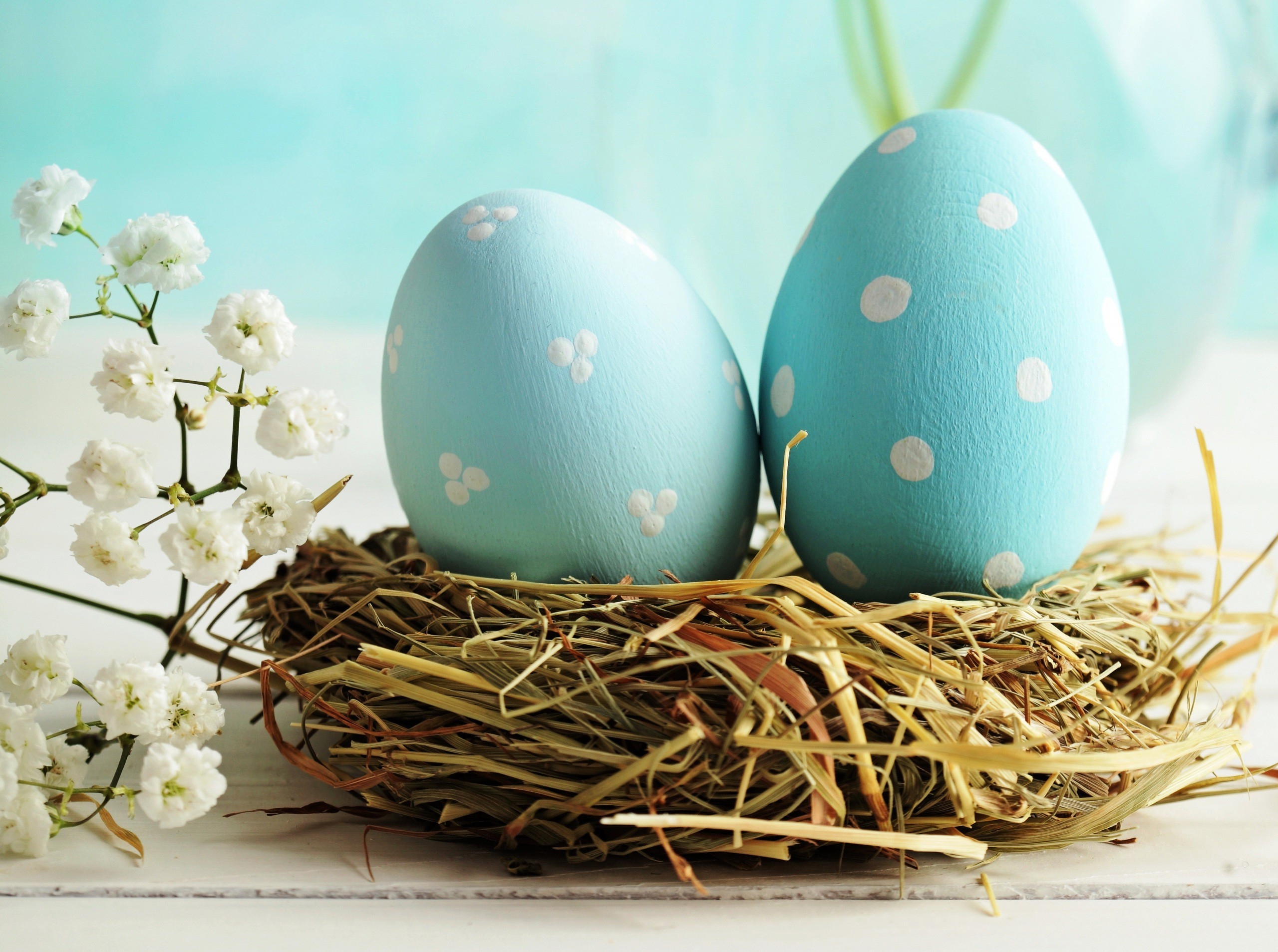 nest made of straw, containing two eggs, painted in turquoise, and decorated with white spots, blossoming tree branch nearby, how to dye easter eggs 