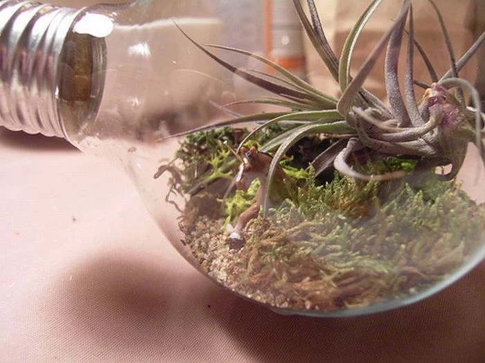 unicorn plastic figurine in brown, inside a hollowed lightbulb, filled with moss and airplants