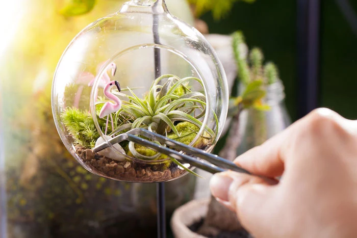 flamingo figurines made of pink plastic, inside a round glass air plant terrarium, filled with brown pebbles, green moss and tillandsias, hand placing a gray stone inside, using metal tweezers