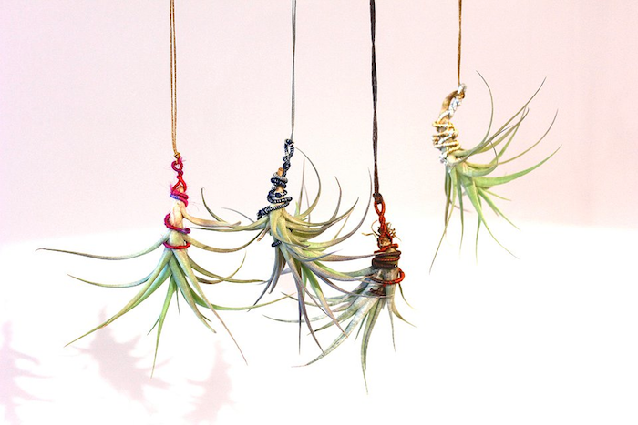 colorful strings in hot pink, and dark blue, red and yellow, wrapped around four hanging air plants