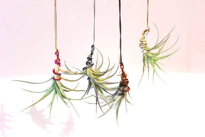 colorful strings in hot pink, and dark blue, red and yellow, wrapped around four hanging air plants
