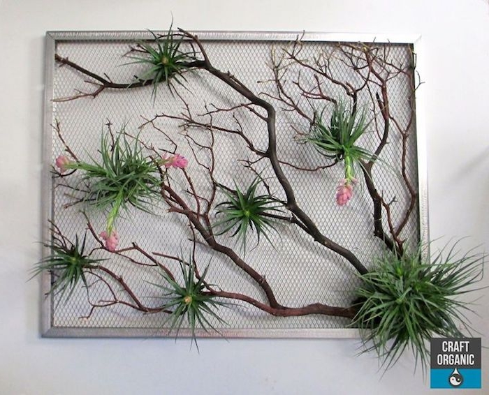 metal frame with wire mesh, containing large dried branch, green hanging air plants, with pink blossoms