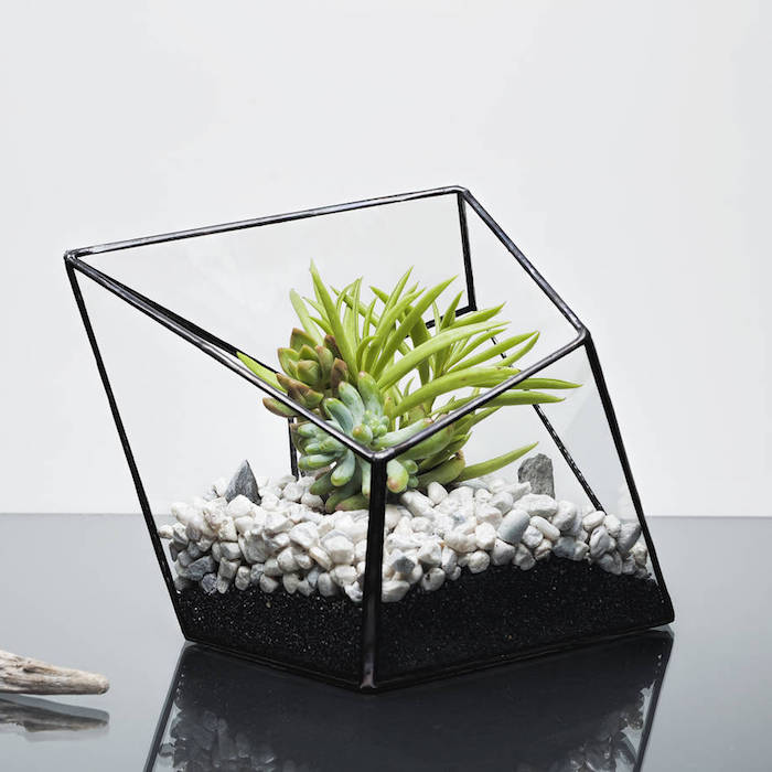 edgy modern planter, with black details, containing fine black pebbles, and bigger white stones, with succulents and air plants 